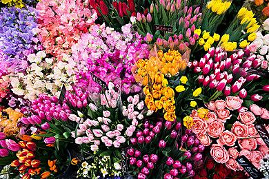 雪崩工作室新作曝光 被称为是开放世界版“死亡细胞”